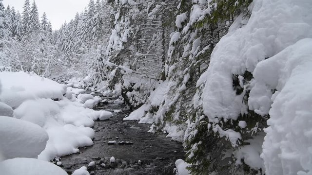 Scanic Winter Landscape with Small Mountain River and the Forest. 