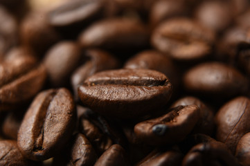 Close up of coffee beans