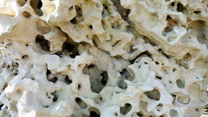 CRAFTS OF WOODEN ROOT MATERIALS