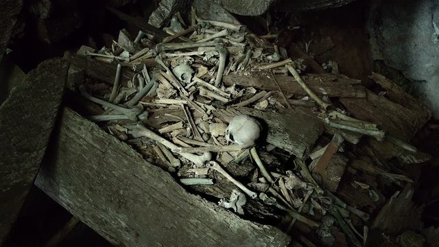 Toraja traditional burial ground. Coffins are situated in caves or hang on the cliff, Indonesia, May 2017