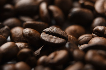 Close up of coffee beans