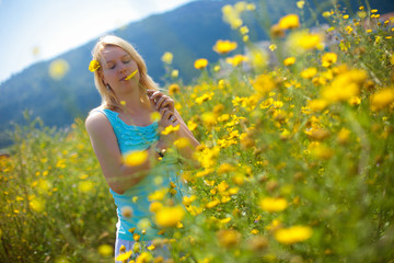 Naklejka na ściany i meble Young beautiful blonde girl in a chamomile field stands posing with a flower in her hands in summer