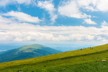 beautiful summer landscape in mountains. sunny weather with gorgeous cloudscape on a blue sky. grassy green slope.