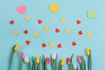 Valentine's Day background. Beautiful fresh tulips.