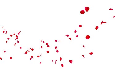 Red rose petals fly into the distance