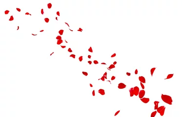 Papier Peint photo Roses Red rose petals fly into the distance