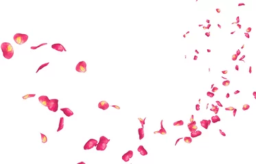 Tableaux ronds sur plexiglas Anti-reflet Roses Les pétales de rose rouges volent au loin