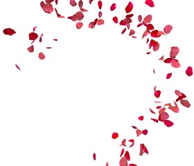 Fototapeta premium Red rose petals fly in a circle. The center free space for Your photos or text