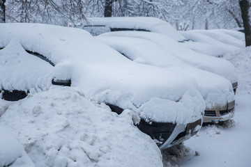 Several cars are covered with snow