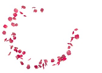 Red rose petals fly in a circle. The center free space for Your photos or text