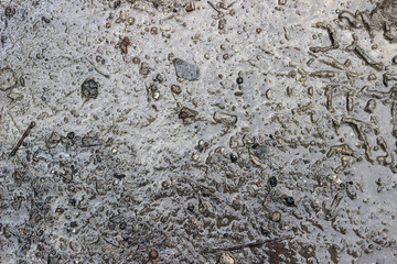 Muddy asphalt pavement surface texture