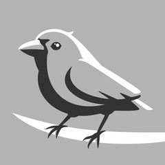 Sparrow bird sketch light and shadows vector illustration
