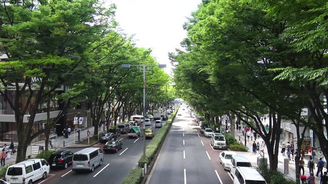 A Top View Of Omote Sando Street And Alley