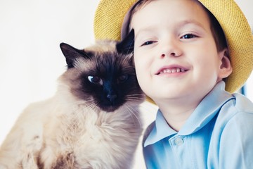 cat child balinese together play. friend affection.