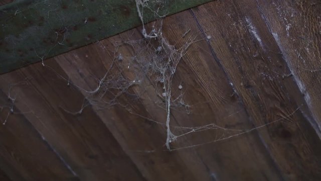Cobweb on old wooden ceiling