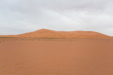 Fototapeta na wymiar Desierto Sahara