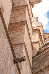 Gotisch Tierfigur an Fassade der Kathedrale von Palma, Mallorca