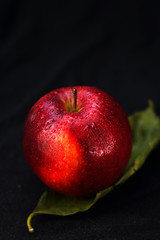 red apple on a leaf