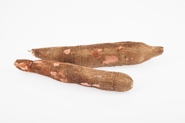 Raw yucca on white background-Manihot esculenta. (Cassava raw tuber)