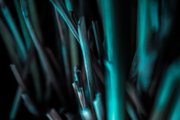 abstract stems background