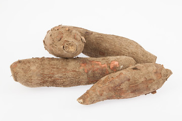 Raw yucca on white background-Manihot esculenta. (Cassava raw tuber)