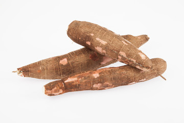 Raw yucca on white background-Manihot esculenta. (Cassava raw tuber)