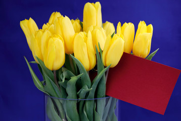 Gelbe Tulpen in der Vase