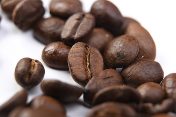 Close up of Coffee beans on white background