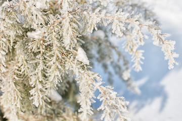 loneliness, sadness, melancholy