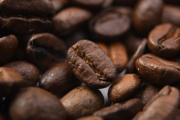 Close up of coffee beans