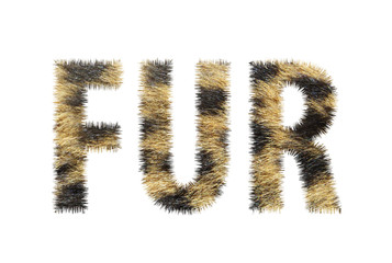 Fur word concept on white background