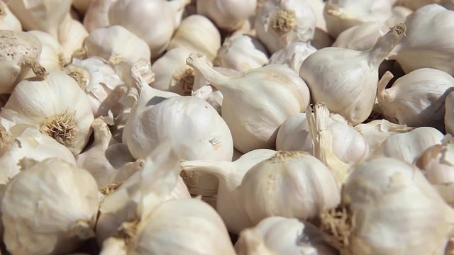 fresh garlic on the market	