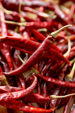 chile rojo