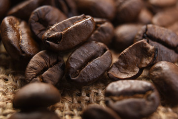 Close up of coffee beans