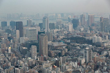Obraz premium Japan Skyline at Dusk