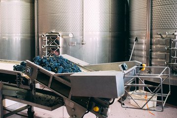 Modern winery machine with grapes