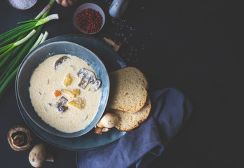 Mushroom soup with cream sour