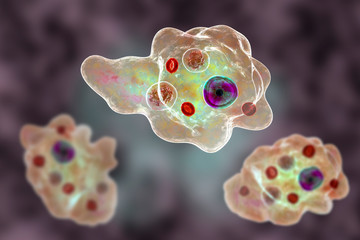 Entamoeba gingivalis protozoan, 3D illustration. An amoeba found in mouth and associated with periodontal diseases