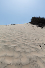 he Huacachina Oasis