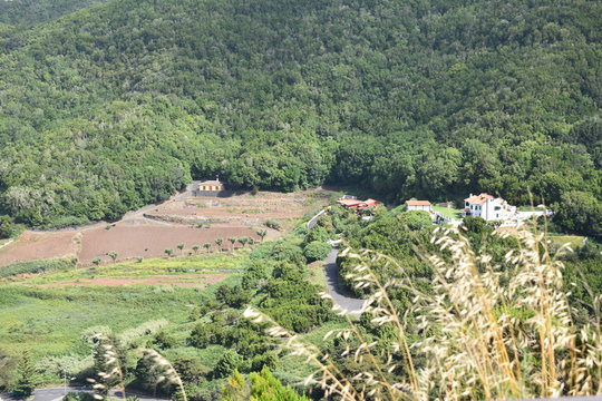Naturaleza