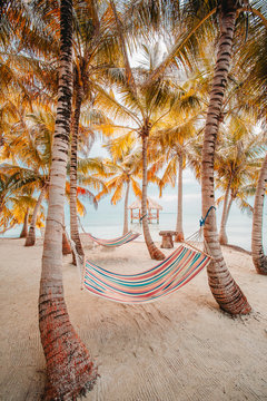 View of empty hammocks on beach