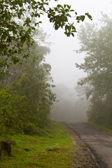 Fototapeta na wymiar Country Road in The Fog
