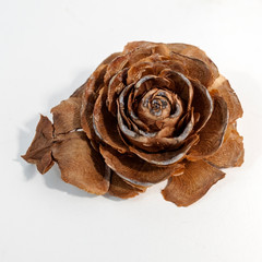 Pine cone shaped like a rose on white background.