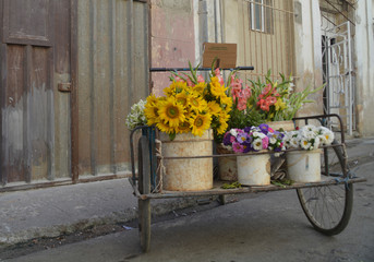 Fototapeta na wymiar Carro de flores en las calles de La Habana Vieja