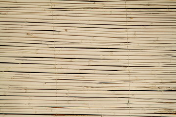 Fototapeta premium Wood Background Texture
