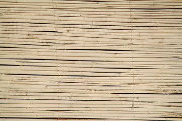 Wood Background Texture