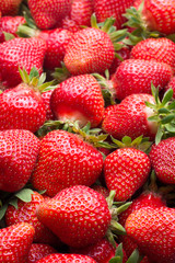 Fresh ripe strawberries in the plastic box