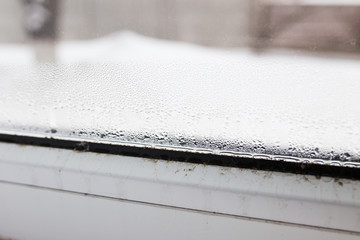 mold on a foggy plastic window of white color.