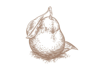 Drawing of yellow pear