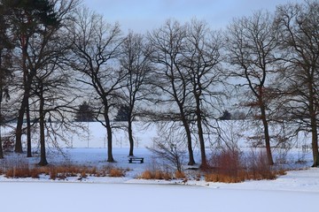 Winterlandschaft mit Bäumen am See